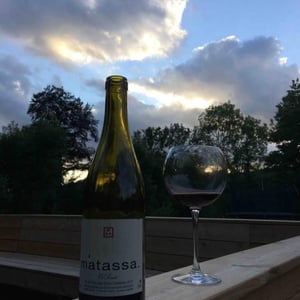 El Sarrat - Domaine Matassa - tom-lubbe