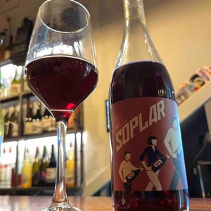 Soplar - Bodegas Moraza - Janire Moraza and Patricio Brongo -2024