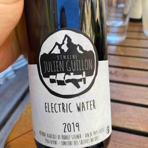 Electric Water - Domaine Julien Guillon - Julien Guillon 
