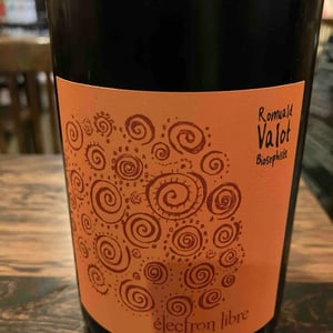 Electron Libre - Les Sauvageons - Cosima and Romuald Valot 