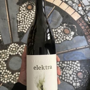 Elektra - Hans & Anita Nittnaus - hans-anita-nittnaus