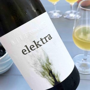 Elektra - Hans & Anita Nittnaus - Hans & Anita Nittnaus 
