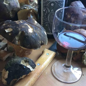 Eléments - Le Clos de la Bruyère - Julien Courtois & Heidi Kuka 