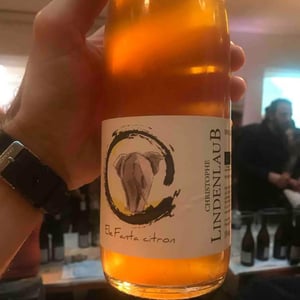 Lindenlaub - Christophe Lindenlaub - Elefanta Citron