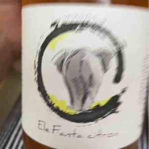 Elefanta Citron - Lindenlaub - Christophe Lindenlaub 