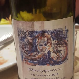 Elepolypossum - Tribouley - Jean-Louis Tribouley 