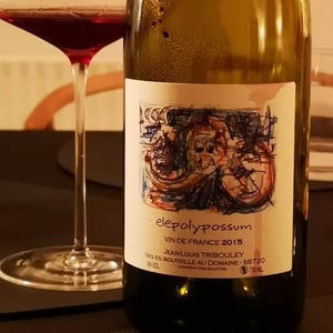 Elepolypossum - Tribouley - jean-louis-tribouley
