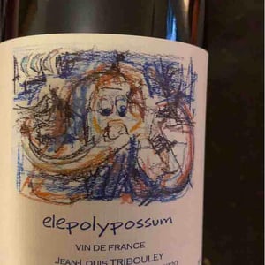 Elepolypossum - Tribouley - jean-louis-tribouley