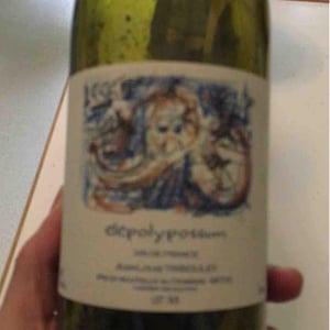 Elepolypossum - Tribouley - Jean-Louis Tribouley 