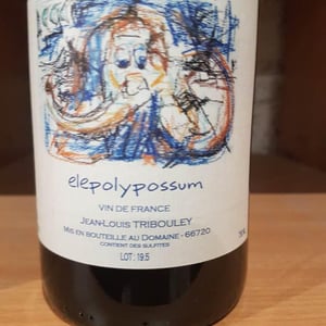 Elepolypossum - Tribouley - jean-louis-tribouley