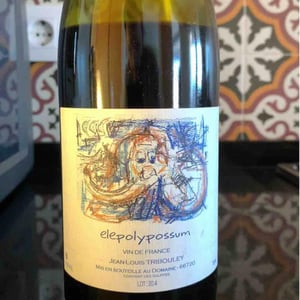 Elepolypossum - Tribouley - jean-louis-tribouley