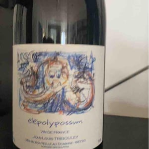 Elepolypossum - Tribouley - jean-louis-tribouley
