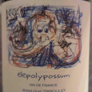 Elepolypossum - Tribouley - Jean-Louis Tribouley 