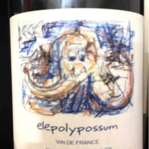 Elepolypossum - Tribouley - jean-louis-tribouley
