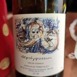 Elepolypossum - Tribouley - jean-louis-tribouley