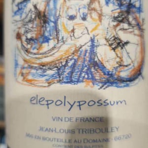 Elepolypossum - Tribouley - jean-louis-tribouley