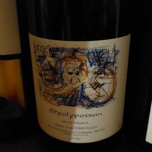 Elepolypossum - Tribouley - jean-louis-tribouley