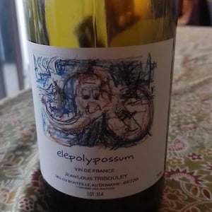 Elepolypossum - Tribouley - Jean-Louis Tribouley 