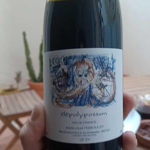 Elepolypossum - Tribouley - Jean-Louis Tribouley