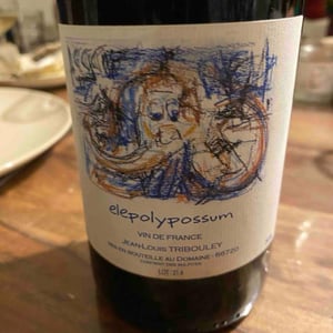 Elepolypossum - Tribouley - Jean-Louis Tribouley 