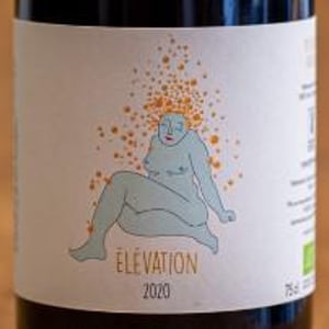 Elévation - Domaine Coustarret - sebastien-bordenave-coustarret