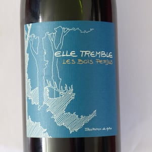 Elle Tremble - Les Bois Perdus - lena-perdu-alexis-robin