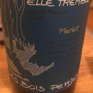Les Bois Perdus - Léna Perdu & Alexis Robin - Elle Tremble
