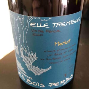 Elle Tremble - Les Bois Perdus - lena-perdu-alexis-robin