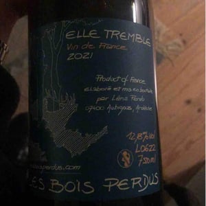 Elle Tremble - Les Bois Perdus - Léna Perdu & Alexis Robin 