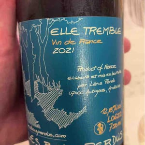 Elle Tremble - Les Bois Perdus - Léna Perdu & Alexis Robin 