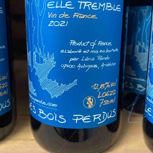 Elle Tremble - Les Bois Perdus - lena-perdu-alexis-robin