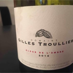 Éloge De L’ombre - Gilles Troullier - gilles-troullier