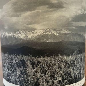 Embruns - Domaine Berry - Althoff & Le Quai à Raisins - imogen-berry-robin-althoff