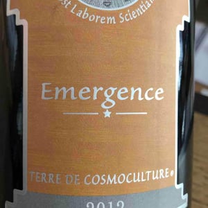Émergence - Viret - Philippe & Alain Viret 