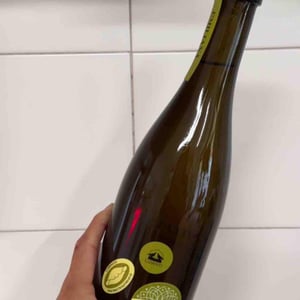 Emiliana - Lusenti - lodovica-lusenti