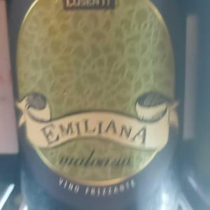 Emiliana - Azienda Agricola Lusenti - lodovica-lusenti