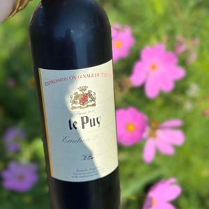 Emilien - Château le Puy - Jean-Pierre & Pascal Amoreau 