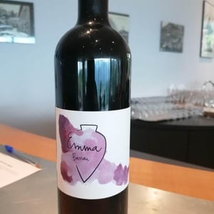 Emma Barrau - Vega Aixalà - eva-aixala -2018