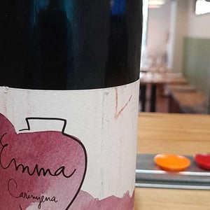 Emma Carinyena - Vega Aixalà - Eva Aixalà -2018