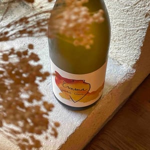 Emma Garnatxa Blanca - Vega Aixalà - Eva Aixalà 