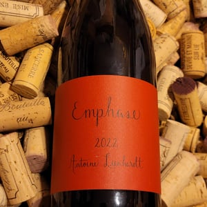 Emphase - Antoine Lienhardt - antoine-lienhardt -2021