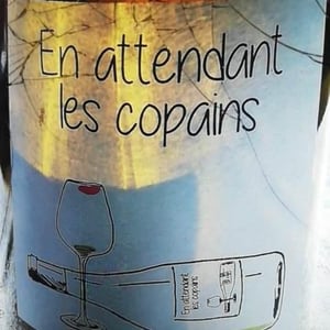 Domaine du Petit Oratoire - Lori Haon - En Attendant les Copains (blanc)