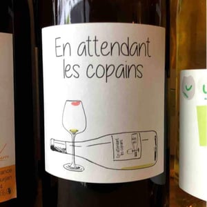 Domaine du Petit Oratoire - Lori Haon - En Attendant les Copains (blanc)