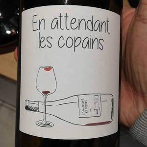 Domaine du Petit Oratoire - Lori Haon - En Attendant les Copains (blanc)