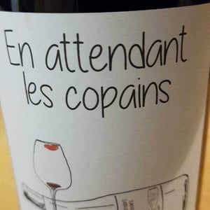 Domaine du Petit Oratoire - Lori Haon - En Attendant les Copains (blanc)