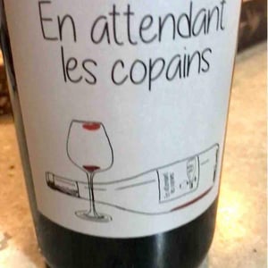 Domaine du Petit Oratoire - Lori Haon - En Attendant les Copains (blanc)