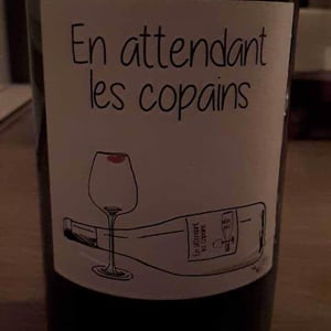 Domaine du Petit Oratoire - Lori Haon - En Attendant les Copains (blanc)