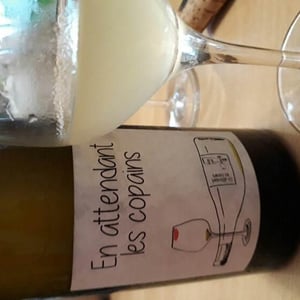 Domaine du Petit Oratoire - Lori Haon - En Attendant les Copains (blanc)