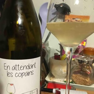 Domaine du Petit Oratoire - Lori Haon - En Attendant les Copains (blanc)