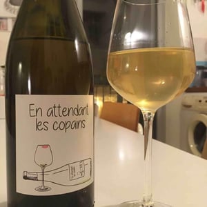 Domaine du Petit Oratoire - Lori Haon - En Attendant les Copains (blanc)